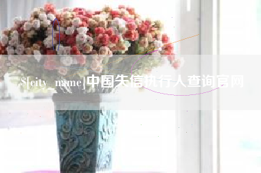 南漳中国失信执行人查询官网