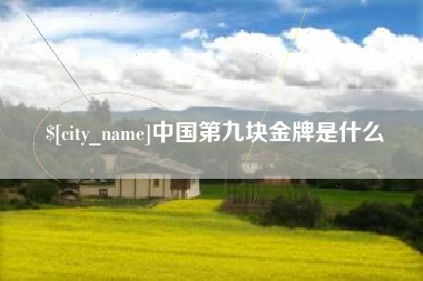 南漳中国第九块金牌是什么