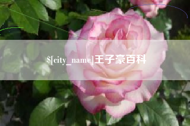 南漳王子豪百科
