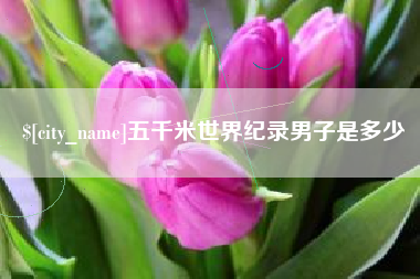 南漳五千米世界纪录男子是多少