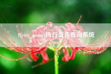 南漳执行公告查询系统