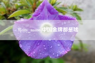 南漳中国金牌都是啥