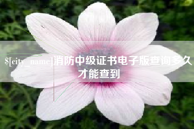 南漳消防中级证书电子版查询多久才能查到