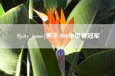 南漳男子5000米世界冠军