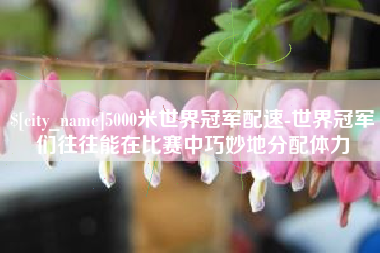 南漳5000米世界冠军配速-世界冠军们往往能在比赛中巧妙地分配体力