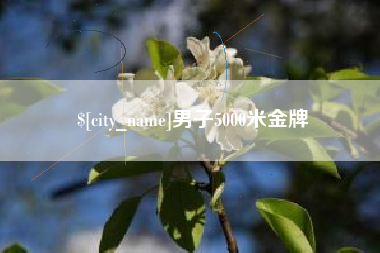 南漳男子5000米金牌