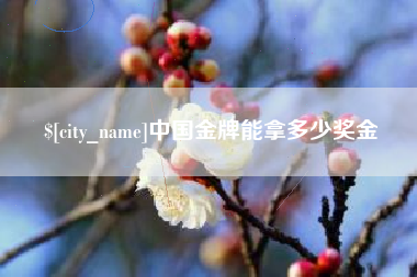 南漳中国金牌能拿多少奖金
