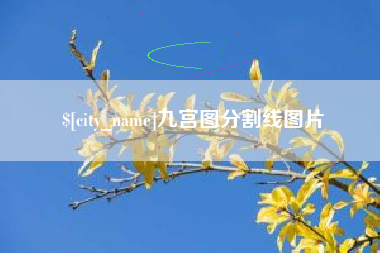 南漳九宫图分割线图片