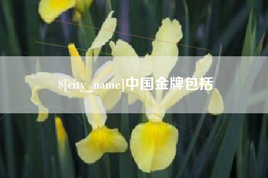 南漳中国金牌包括