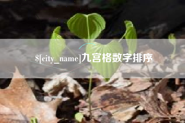 南漳九宫格数字排序