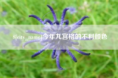 南漳今年九宫格的不利颜色