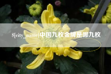 南漳中国九枚金牌是哪九枚