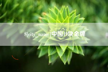 南漳中国19块金牌