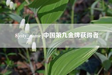 南漳中国第九金牌获得者