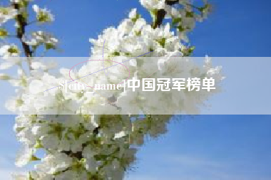 南漳中国冠军榜单