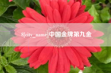 南漳中国金牌第九金