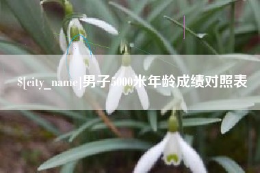 南漳男子5000米年龄成绩对照表