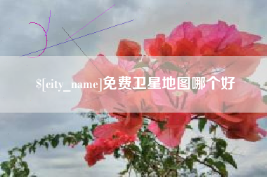 南漳免费卫星地图哪个好