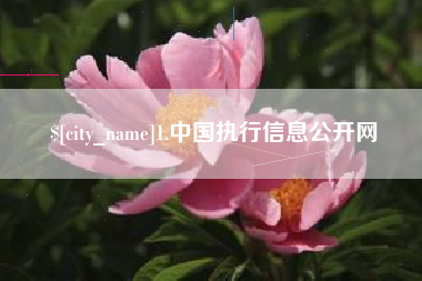 南漳1.中国执行信息公开网