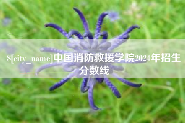 南漳中国消防救援学院2024年招生分数线