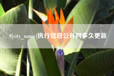 南漳执行信息公开网多久更新