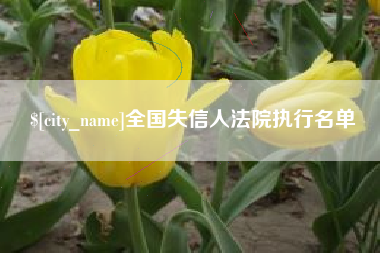 南漳全国失信人法院执行名单