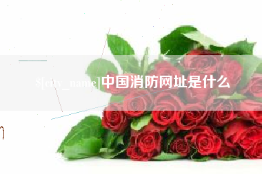 南漳中国消防网址是什么
