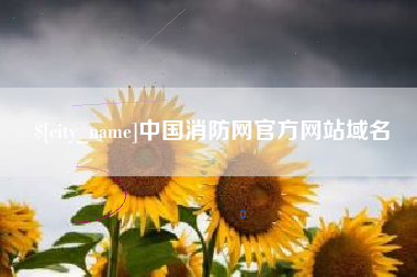 南漳中国消防网官方网站域名
