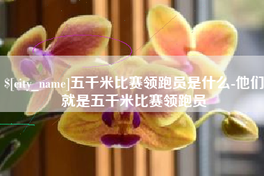 南漳五千米比赛领跑员是什么-他们就是五千米比赛领跑员