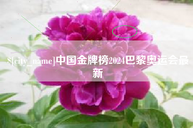南漳中国金牌榜2024巴黎奥运会最新