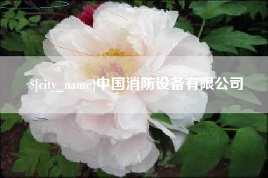 南漳中国消防设备有限公司
