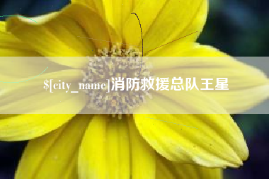 南漳消防救援总队王星