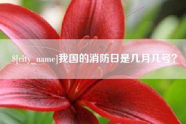 南漳我国的消防日是几月几号？