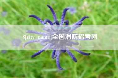 南漳全国消防招考网