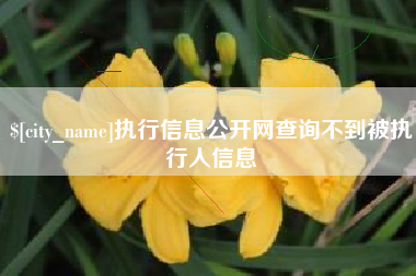 南漳执行信息公开网查询不到被执行人信息