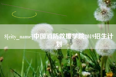 南漳中国消防救援学院2019招生计划
