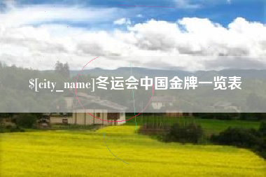 南漳冬运会中国金牌一览表