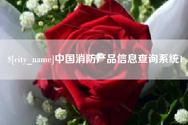 南漳中国消防产品信息查询系统1