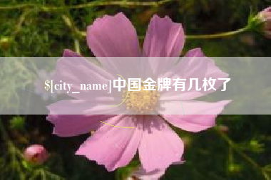 南漳中国金牌有几枚了