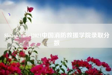 南漳2021中国消防救援学院录取分数