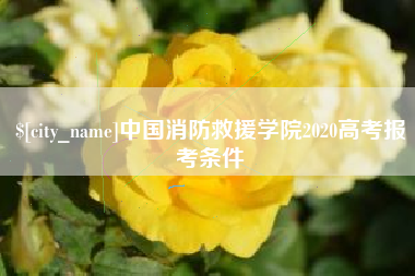 南漳中国消防救援学院2020高考报考条件