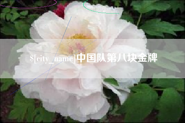 南漳中国队第八块金牌