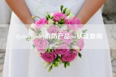 南漳消防产品ccc认证查询
