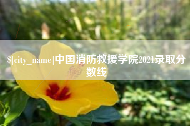 南漳中国消防救援学院2021录取分数线