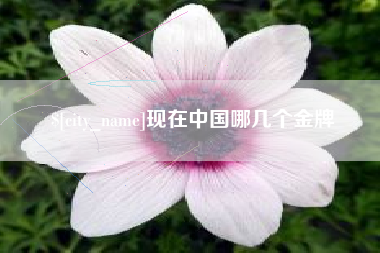 南漳现在中国哪几个金牌