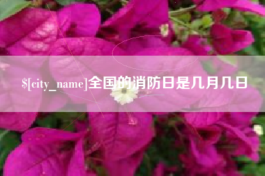 南漳全国的消防日是几月几日