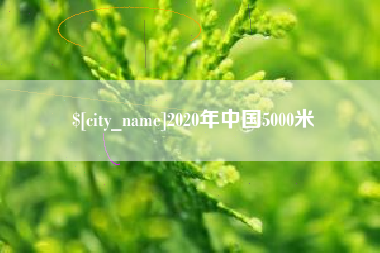 南漳2020年中国5000米