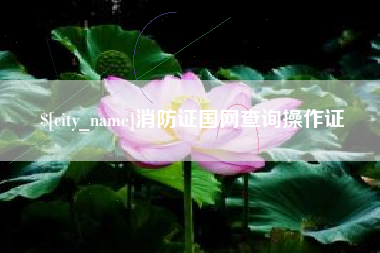 南漳消防证国网查询操作证