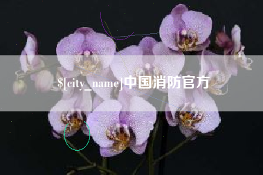 南漳中国消防官方