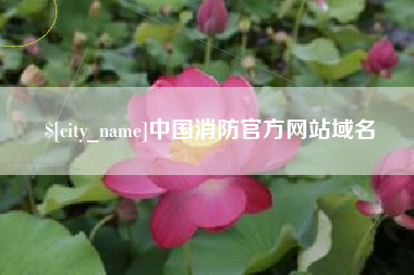 南漳中国消防官方网站域名